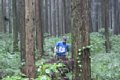 20150908_kikuichi_123.jpg