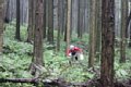 20150908_kikuichi_125.jpg
