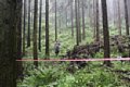 20150908_kikuichi_128.jpg