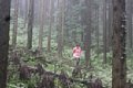 20150908_kikuichi_154.jpg