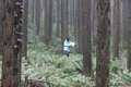 20150908_kikuichi_181.jpg