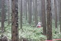20150908_kikuichi_187.jpg