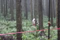 20150908_kikuichi_188.jpg