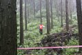 20150908_kikuichi_198.jpg
