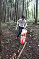 20150910_kikuichi_137.jpg